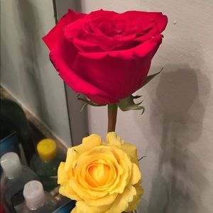 Meet your Posher, Josh